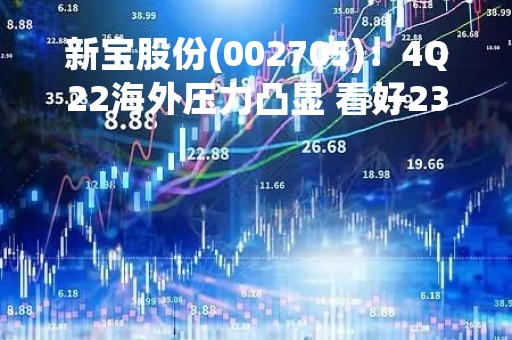 新宝股份(002705)：4Q22海外压力凸显 看好23年内销