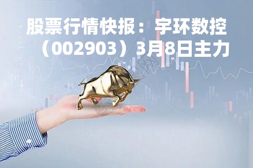 股票行情快报：宇环数控（002903）3月8日主力资金净买入63.62万元