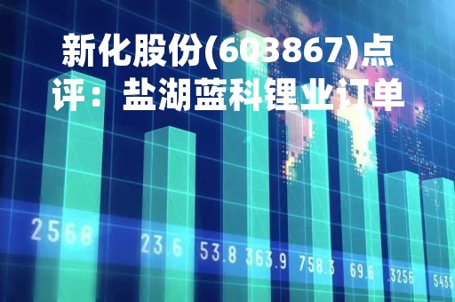 新化股份(603867)点评：盐湖蓝科锂业订单落地 公司有望成为锂资源提取、回收相关领先企业