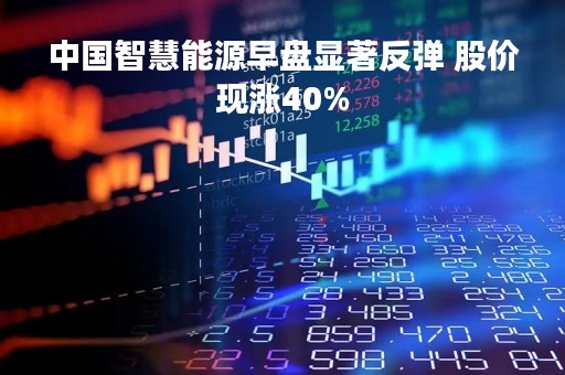 中国智慧能源早盘显著反弹 股价现涨40%