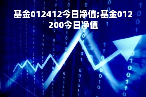 基金012412今日净值;基金012200今日净值