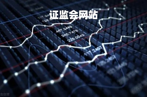 证监会网站