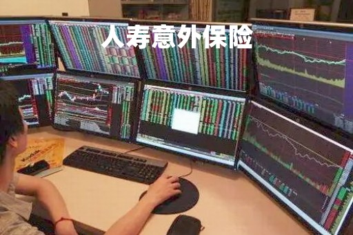 人寿意外保险