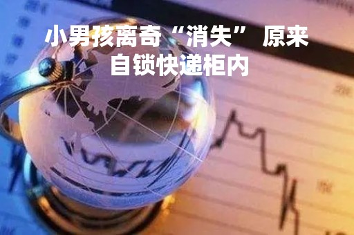 小男孩离奇“消失” 原来自锁快递柜内