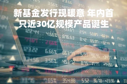新基金发行现暖意 年内首只近30亿规模产品诞生