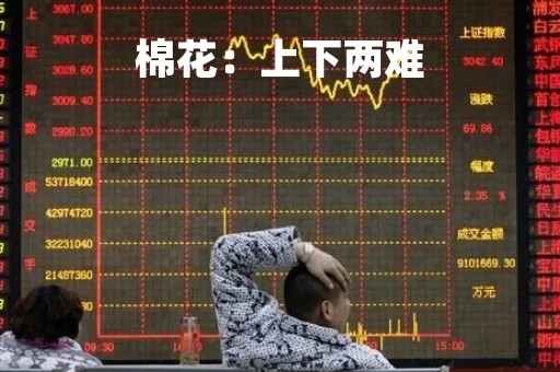 棉花：上下两难