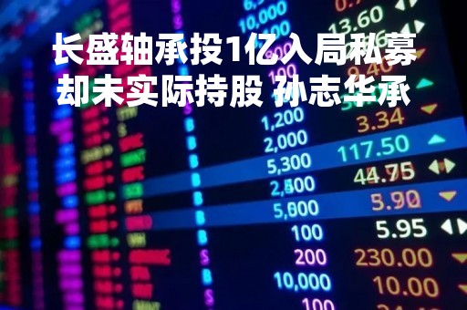 长盛轴承投1亿入局私募却未实际持股 孙志华承诺“兜底”损失未解资金去向谜团