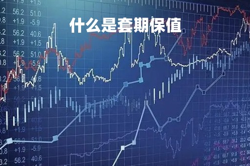 什么是套期保值