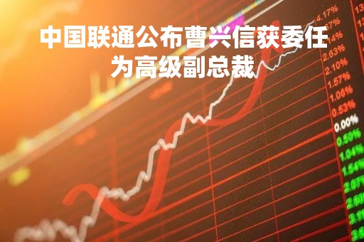 中国联通公布曹兴信获委任为高级副总裁