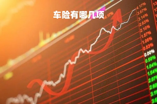 车险有哪几项