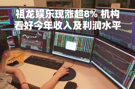 祖龙娱乐现涨超8% 机构看好今年收入及利润水平