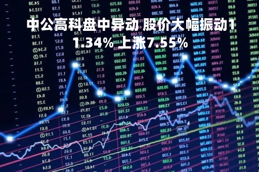 中公高科盘中异动 股价大幅振动11.34% 上涨7.55%