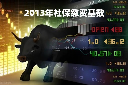 2013年社保缴费基数
