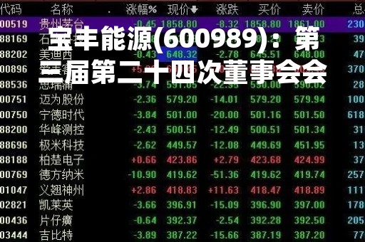 宝丰能源(600989)：第三届第二十四次董事会会议决议，审议17项议案获通过