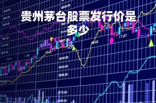 贵州茅台股票发行价是多少