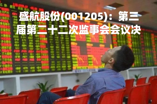 盛航股份(001205)：第三届第二十二次监事会会议决议，18项议案获通过