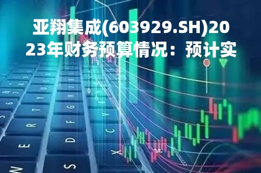 亚翔集成(603929.SH)2023年财务预算情况：预计实现销售收入35亿元，综合毛利率10%，净利润2亿元