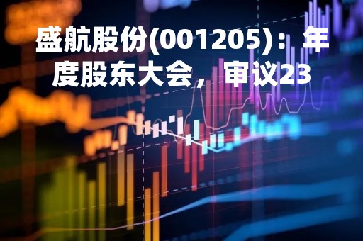 盛航股份(001205)：年度股东大会，审议23项议案