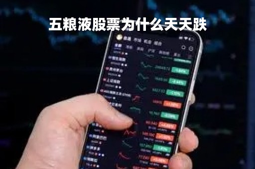 五粮液股票为什么天天跌