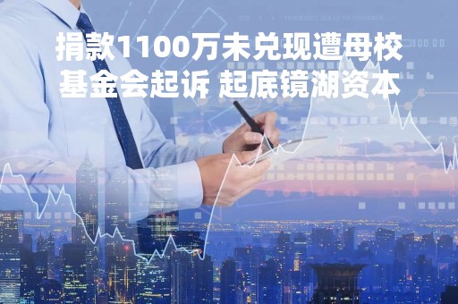 捐款1100万未兑现遭母校基金会起诉 起底镜湖资本90后创始人