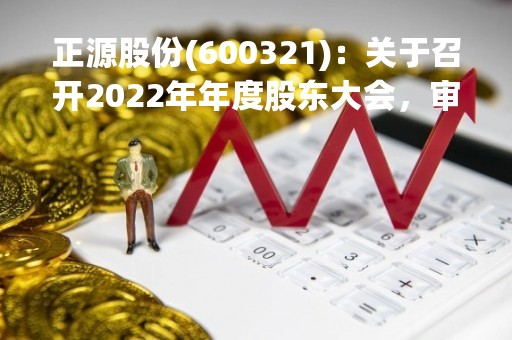正源股份(600321)：关于召开2022年年度股东大会，审议8项议案