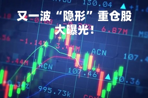又一波“隐形”重仓股大曝光！