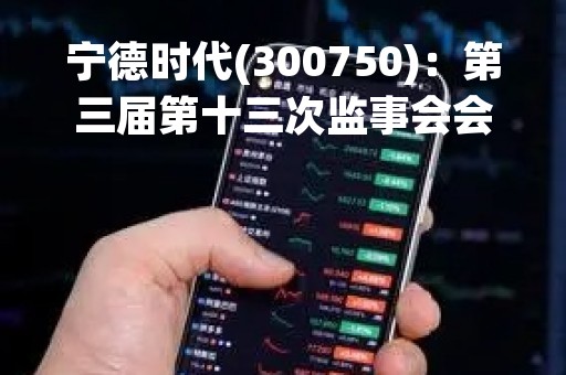 宁德时代(300750)：第三届第十三次监事会会议决议，15项议案获通过