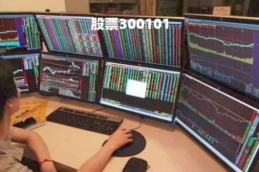 股票300101