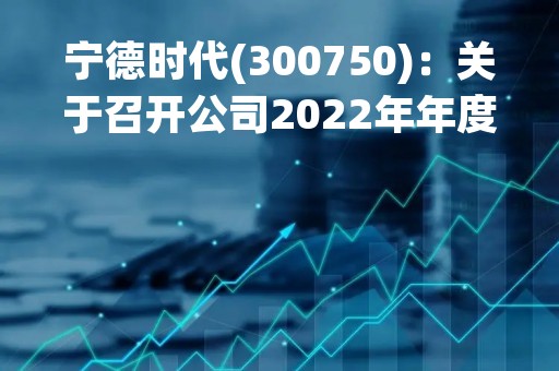 宁德时代(300750)：关于召开公司2022年年度股东大会，审议20项议案