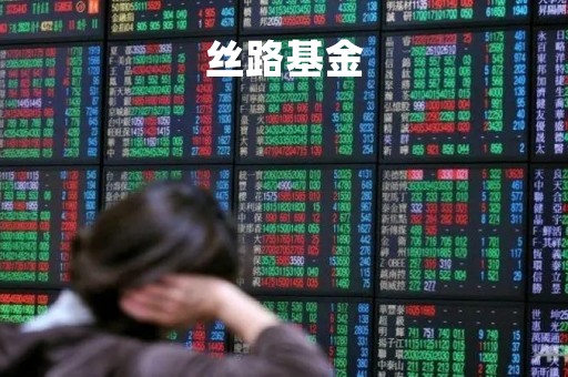 丝路基金