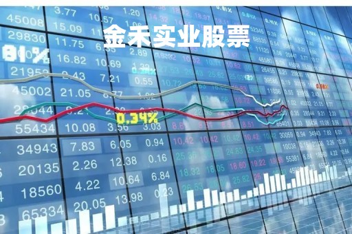 金禾实业股票