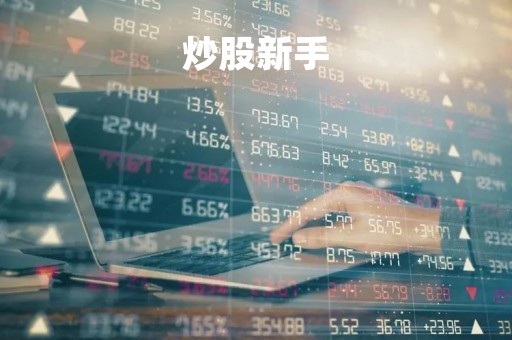 炒股新手