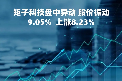 矩子科技盘中异动 股价振动9.05%  上涨8.23%