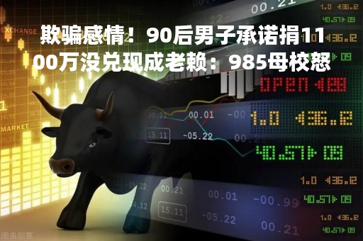 欺骗感情！90后男子承诺捐1100万没兑现成老赖：985母校怒起诉