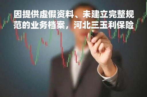 因提供虚假资料、未建立完整规范的业务档案，河北三玉利保险代理被罚10.5万元