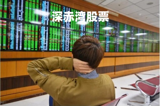 深赤湾股票