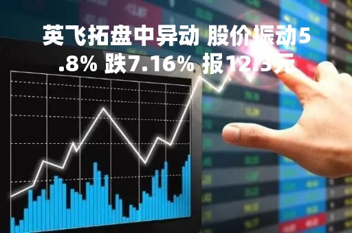 英飞拓盘中异动 股价振动5.8% 跌7.16% 报12.3元