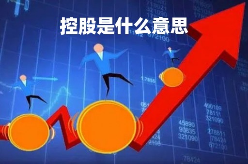 控股是什么意思