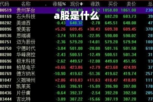 a股是什么