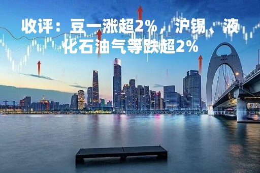 收评：豆一涨超2%，沪锡、液化石油气等跌超2%