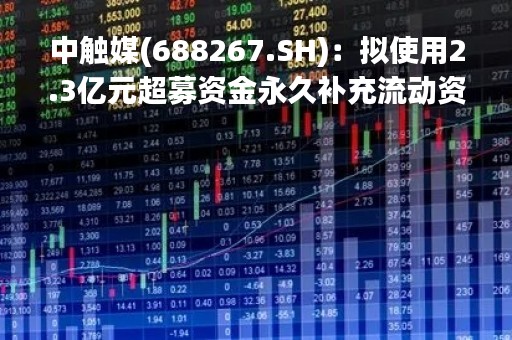 中触媒(688267.SH)：拟使用2.3亿元超募资金永久补充流动资金
