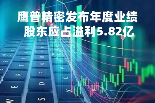 鹰普精密发布年度业绩 股东应占溢利5.82亿港元同比增加52%