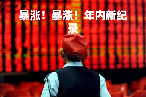 暴涨！暴涨！年内新纪录