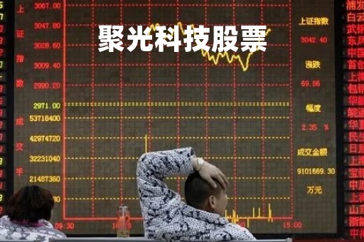 聚光科技股票