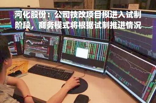 河化股份：公司技改项目拟进入试制阶段，商务模式将根据试制推进情况及实际客户需求情况进一步磋商