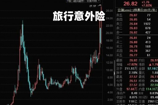 旅行意外险