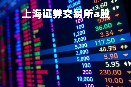 上海证券交易所a股
