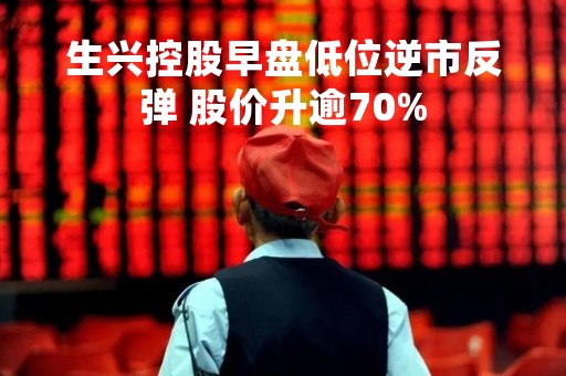 生兴控股早盘低位逆市反弹 股价升逾70%
