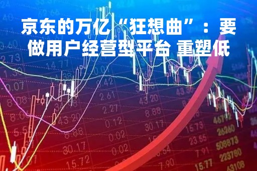 京东的万亿“狂想曲”：要做用户经营型平台 重塑低价心智是“第一枪”