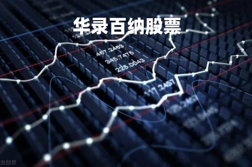 华录百纳股票